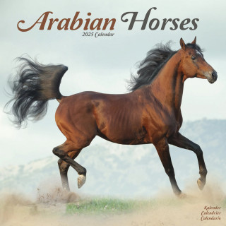 Calendrier chevaux arabes 2025