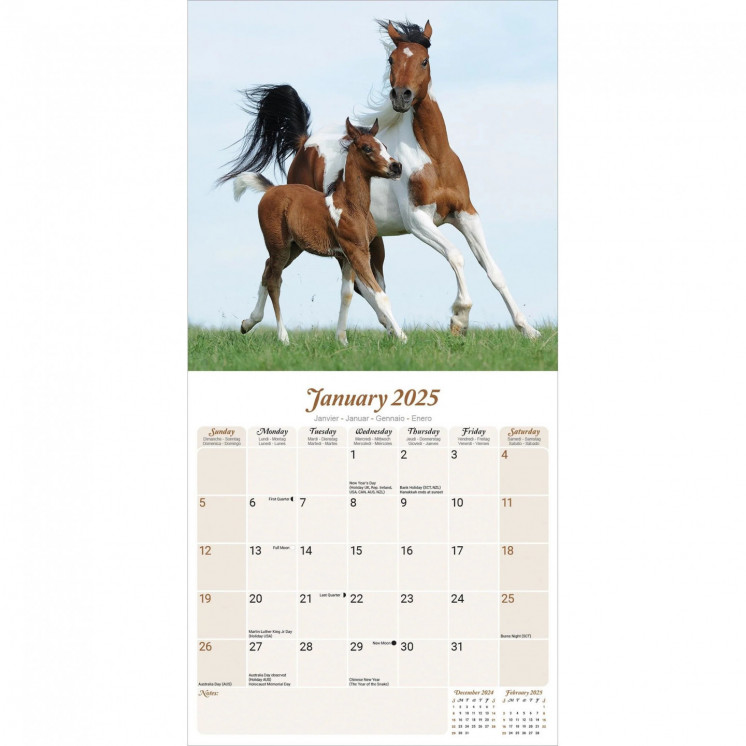 Calendrier Chevaux Arabe 2025