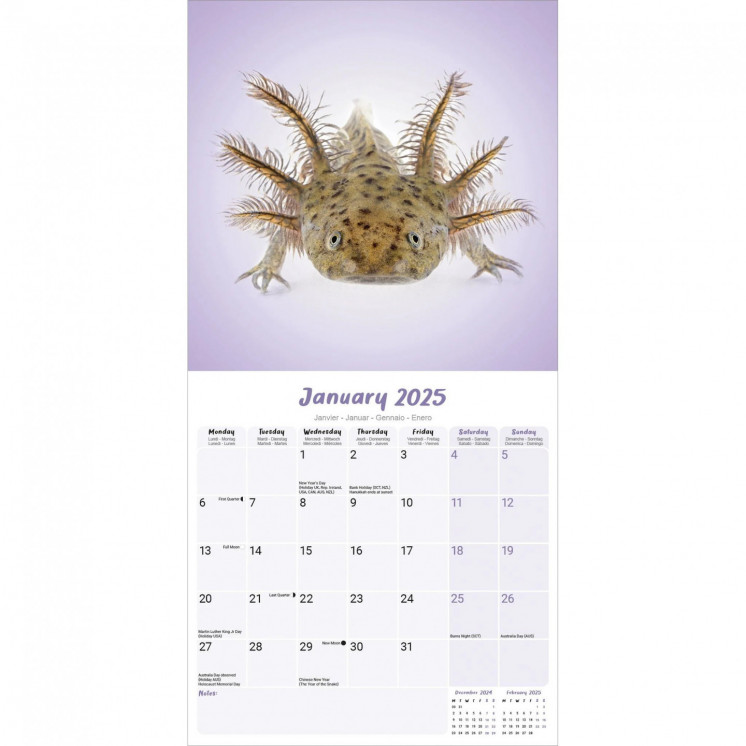 Calendrier Axolotl 2025