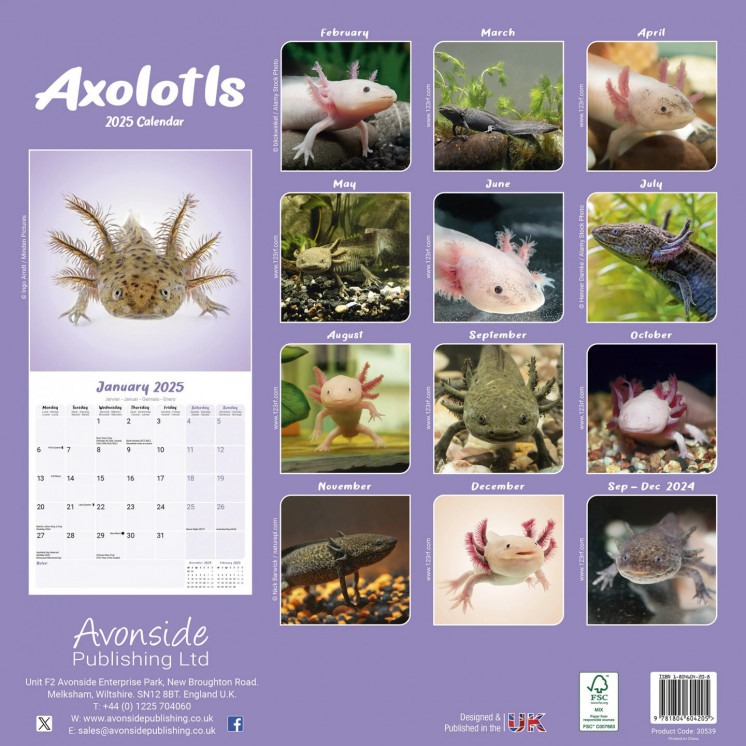 Calendrier Axolotl 2025