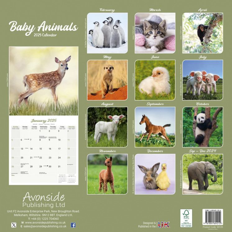 Calendrier Bébé Animaux 2025