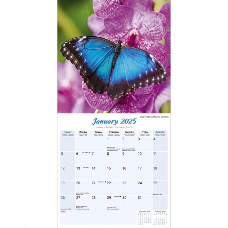 Calendrier Papillon 2025