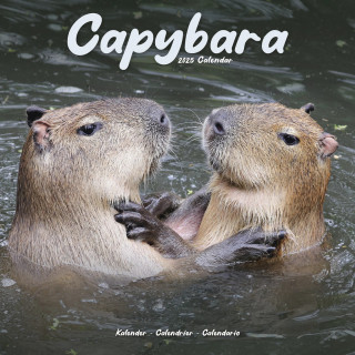 Calendrier Capybara 2025