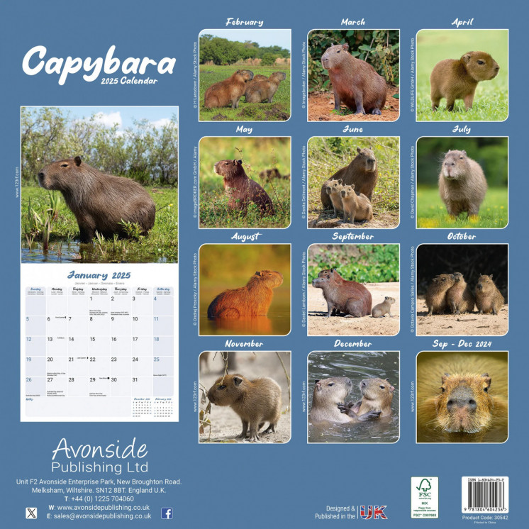 Calendrier Capybara 2025