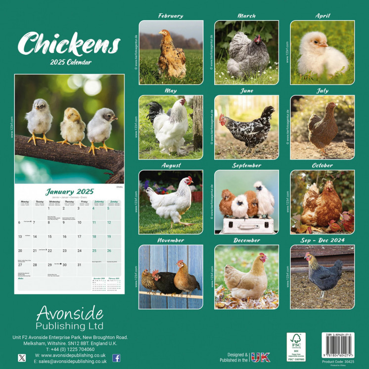 Calendrier poules 2025