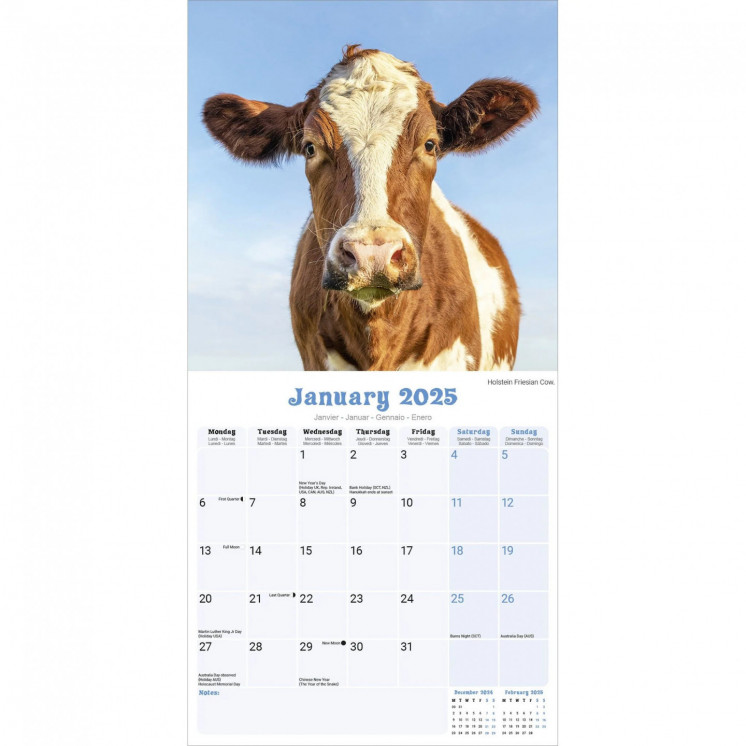 Calendrier Vache 2025