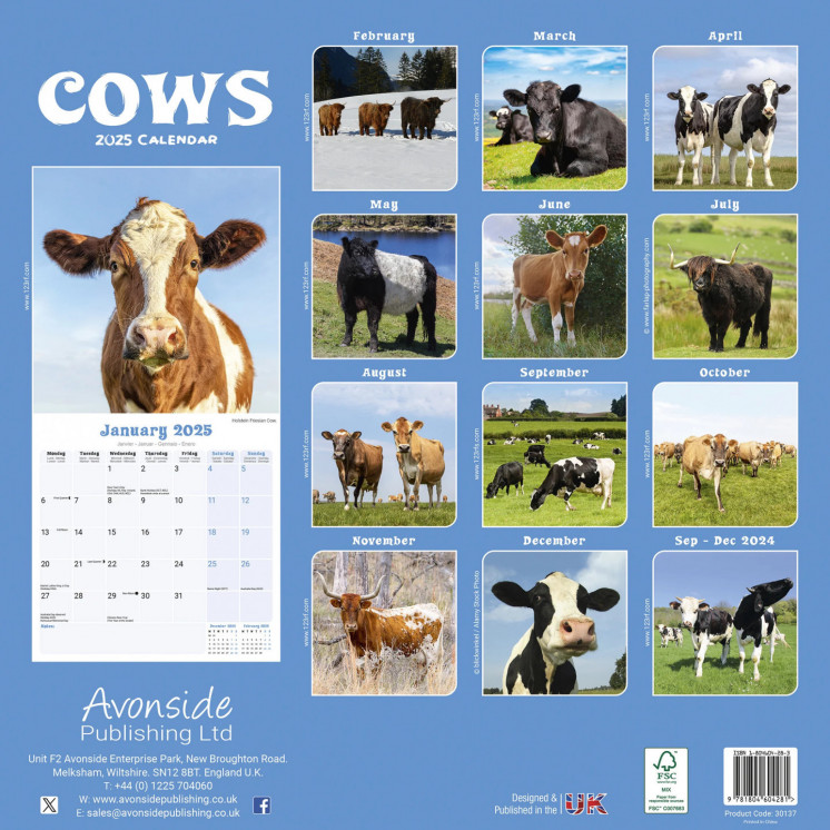 Calendrier Vache 2025