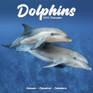 Calendrier Dauphins 2025