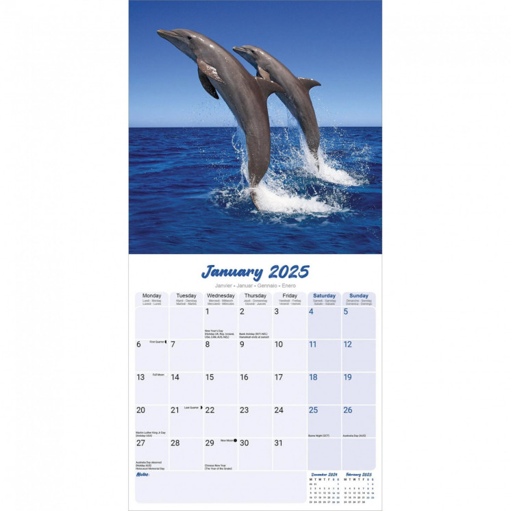 Calendrier Dauphins 2025