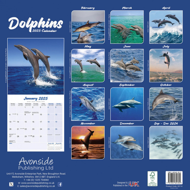 Calendrier Dauphins 2025