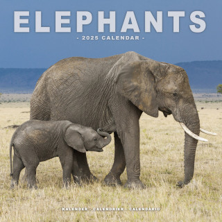 Calendrier éléphant 2025