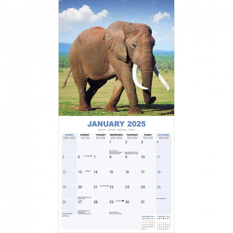 Calendrier éléphant 2025