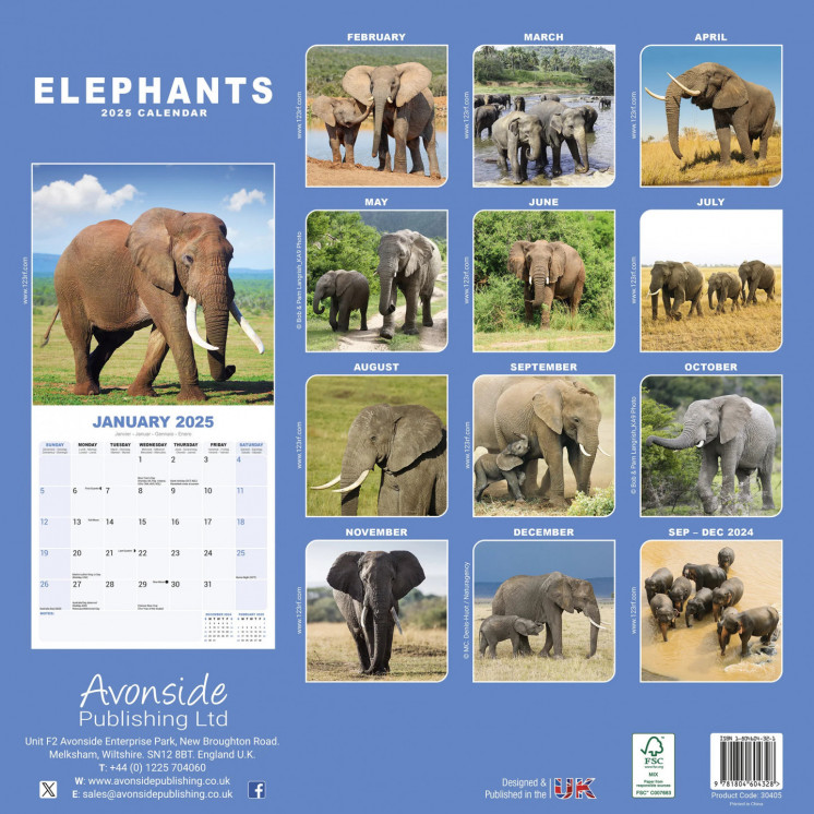 Calendrier éléphant 2025