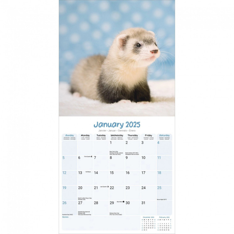 Calendrier Furet 2025