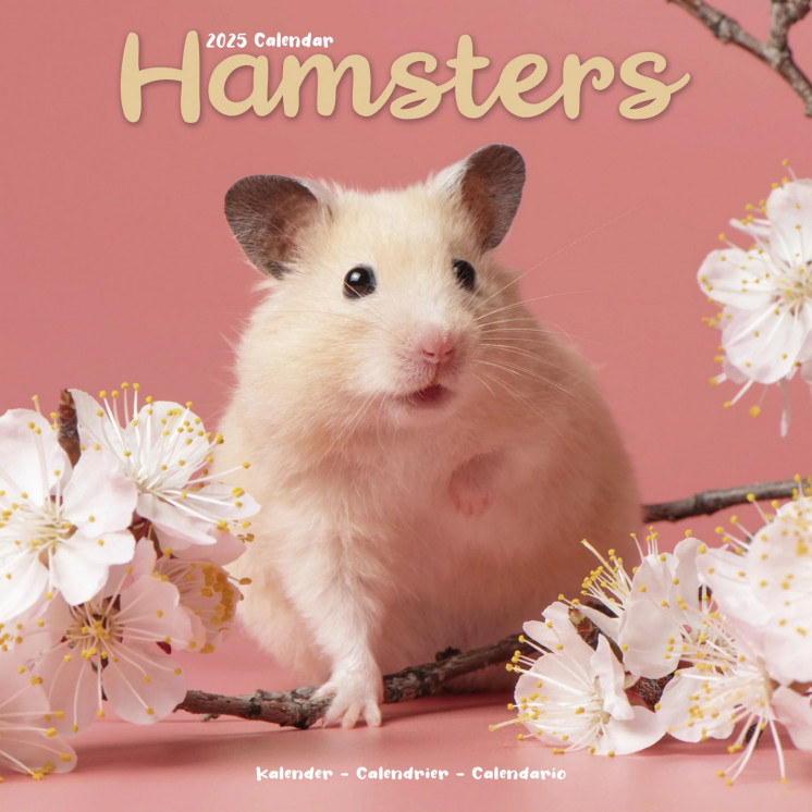 Calendrier Hamster 2025