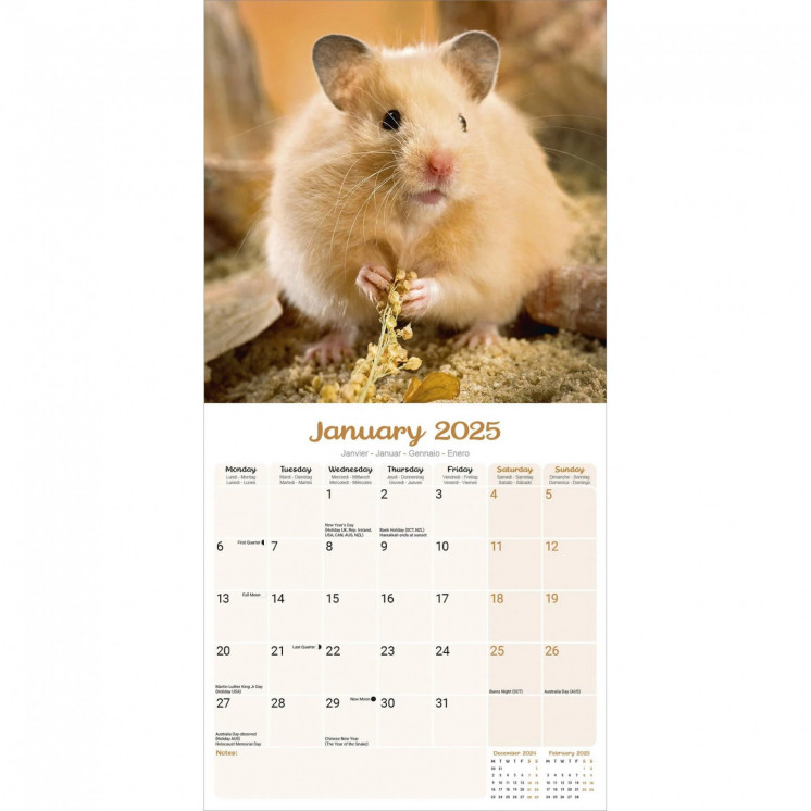 Calendrier Hamster 2025