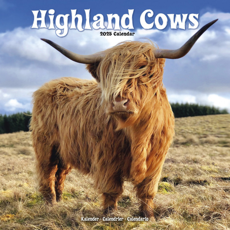 Calendrier vaches des Highlands 2025