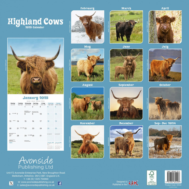 Calendrier Vache Highland 2025