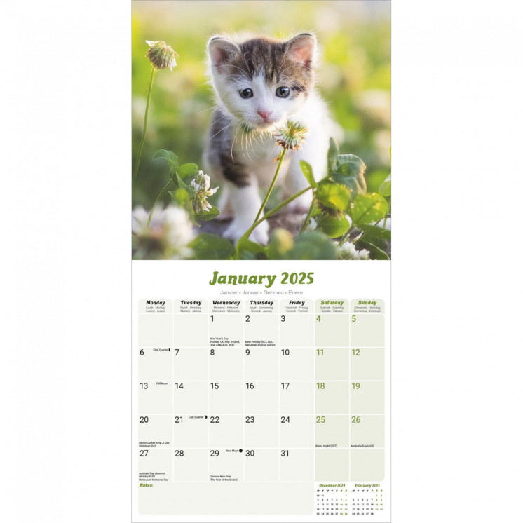 Calendrier Chatons 2025