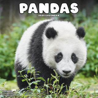 Calendrier Pandas 2025