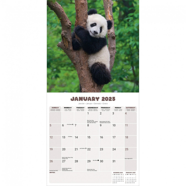 Calendrier Pandas 2025