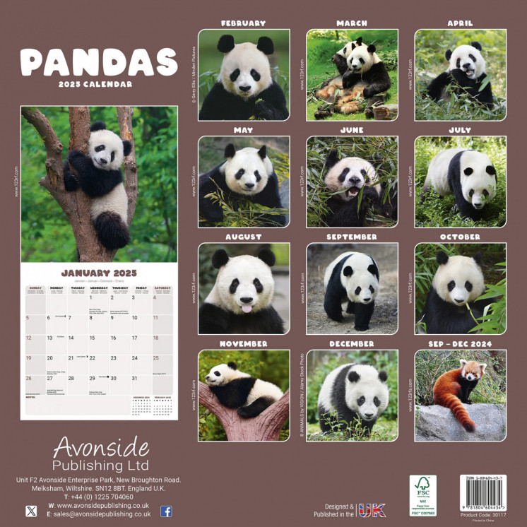 Calendrier Pandas 2025