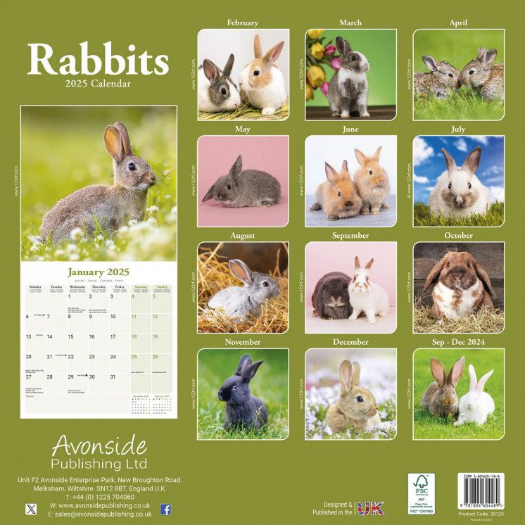 Calendrier Lapin 2025