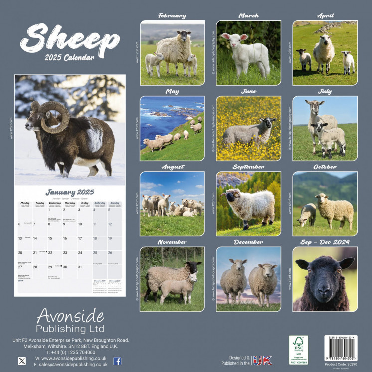 Calendrier Mouton 2025