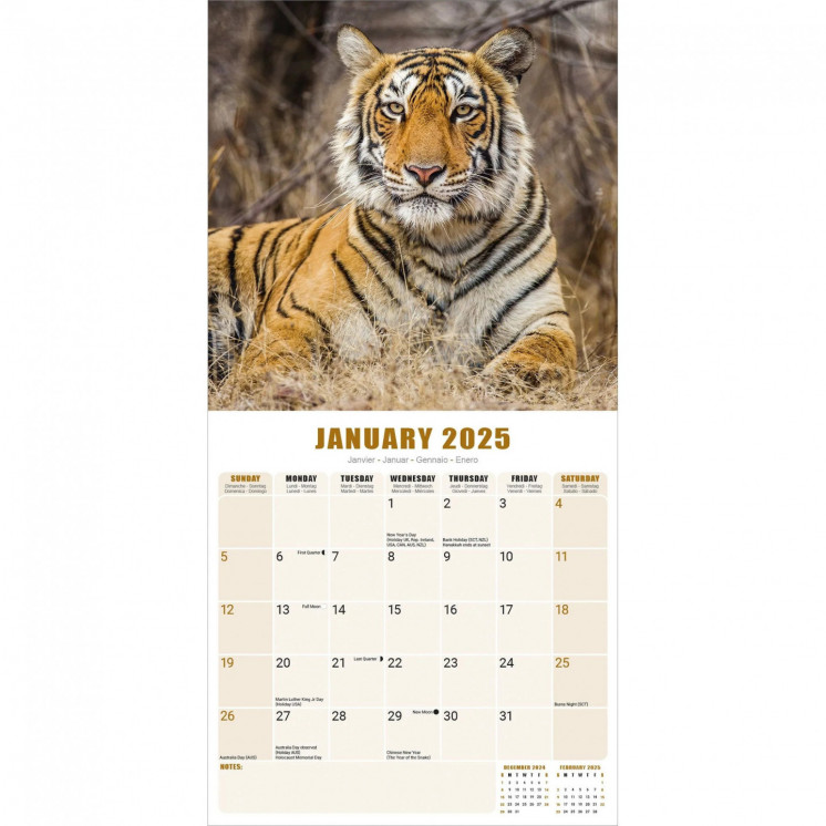 Calendrier Tigre 2025