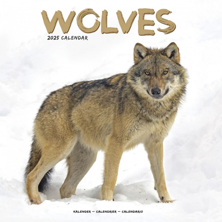 Calendrier loups 2025