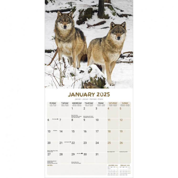 Calendrier Loup 2025