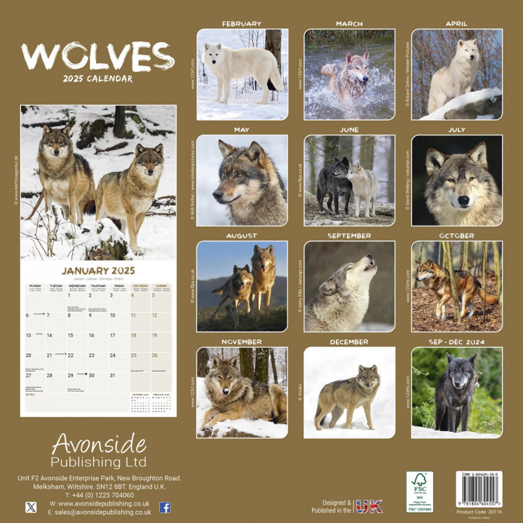 Calendrier Loup 2025