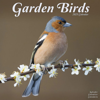 Calendrier Oiseaux Jardin 2025