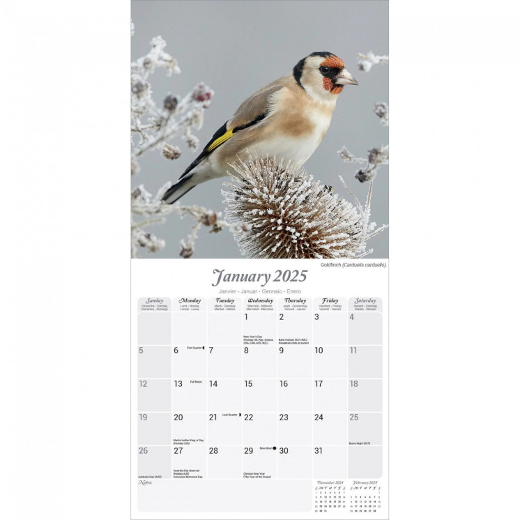 Calendrier Oiseaux Jardin 2025