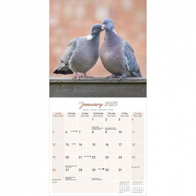 Calendrier Pigeon 2025