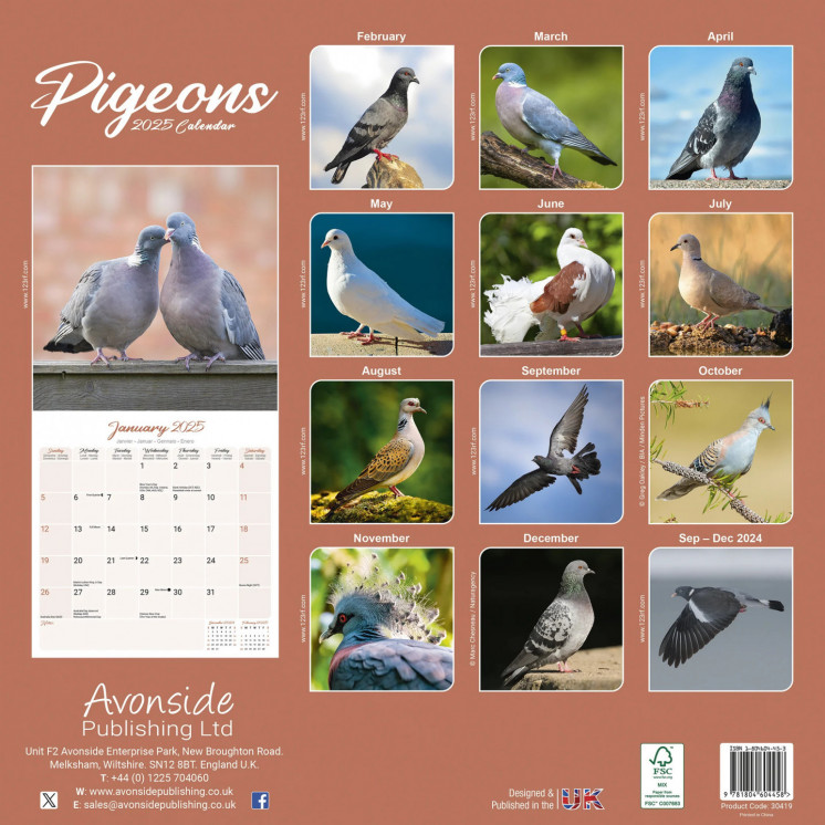 Calendrier Pigeons 2025