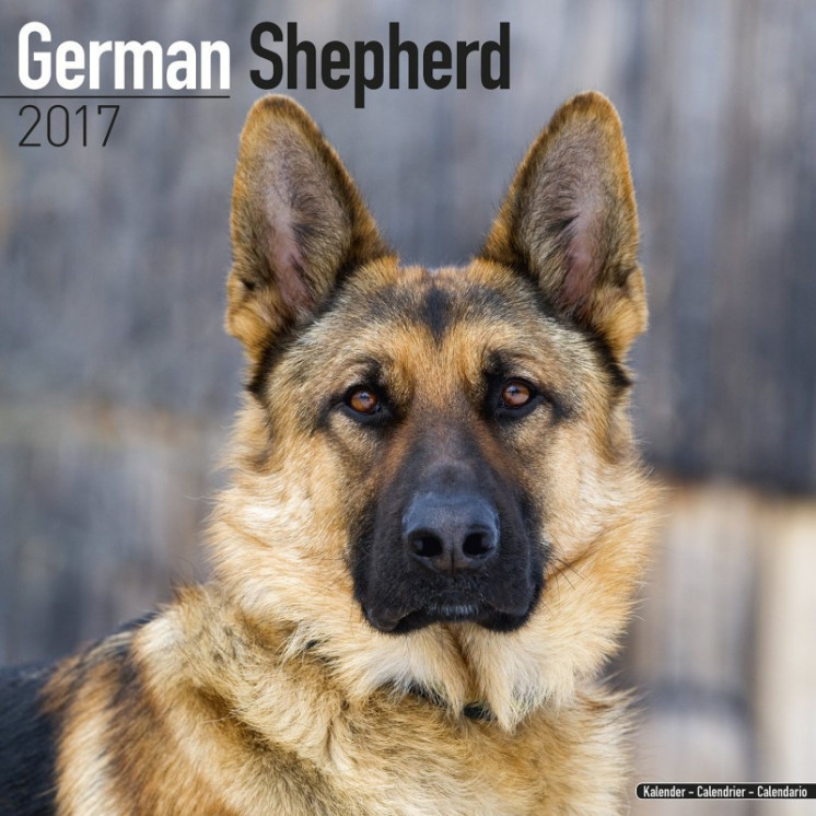 Calendrier Berger Allemand 2017