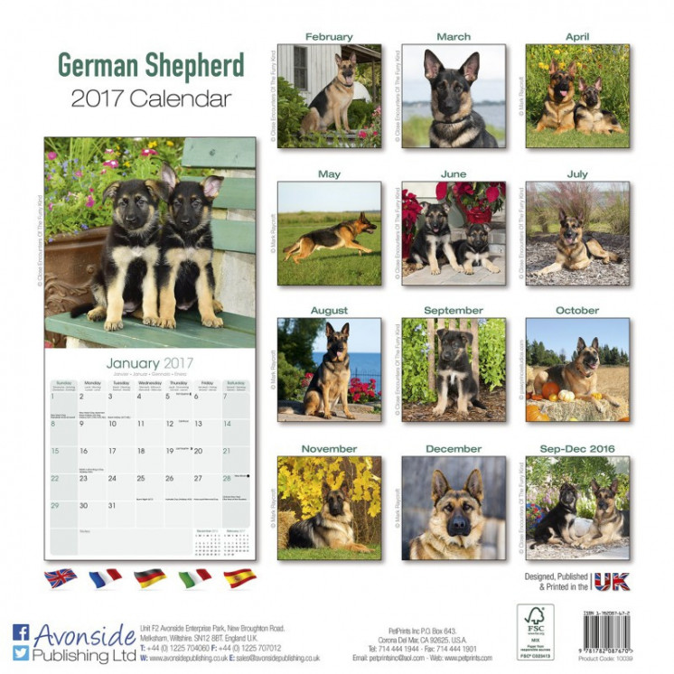 Calendrier Berger Allemand 2017