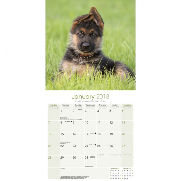 Calendrier Berger Allemand 2018