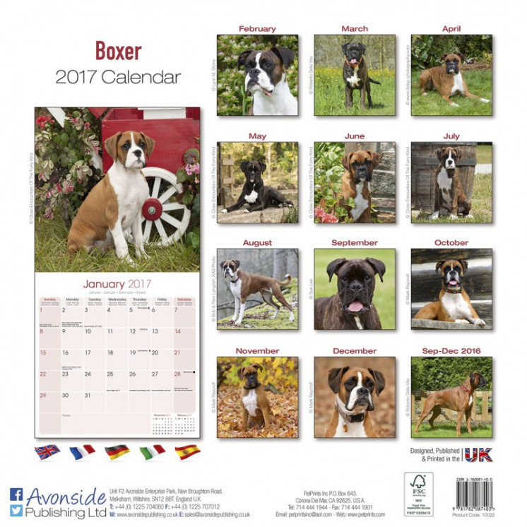 Calendrier Boxer 2017