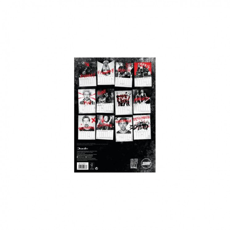 Calendrier 5 Seconds of Summer Officiel 2016