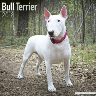 Calendrier Bull Terrier 2018