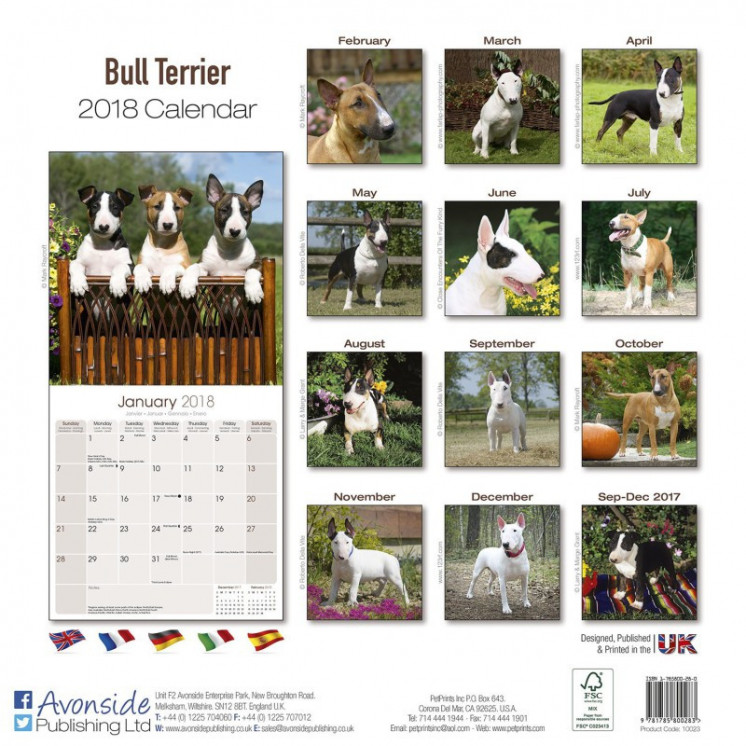 Calendrier Bull Terrier 2018