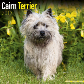 Calendrier Cairn Terrier 2017