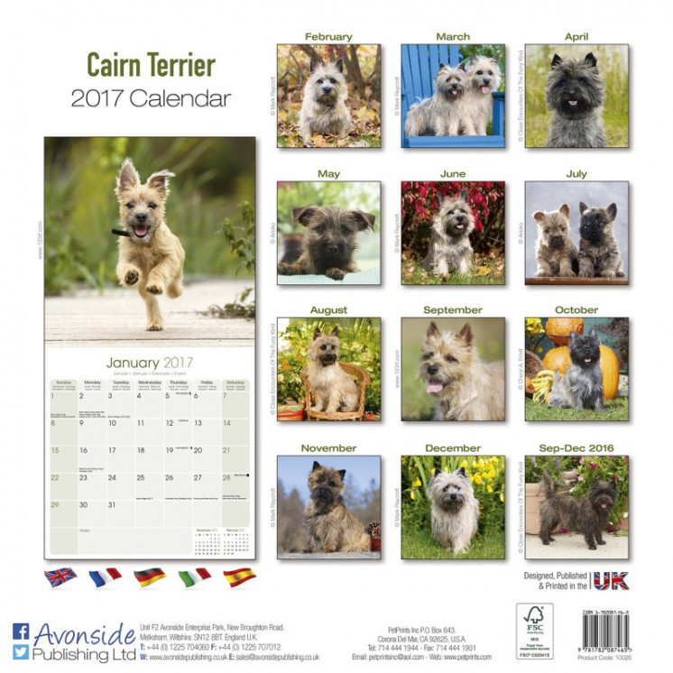 Calendrier Cairn Terrier 2017