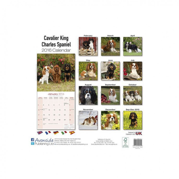 Calendrier Cavalier King Charles Spaniel 2016