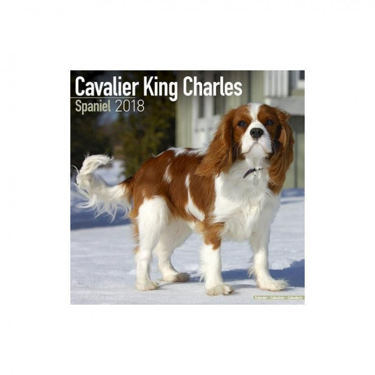 Calendrier Cavalier King Charles Spaniel 2018