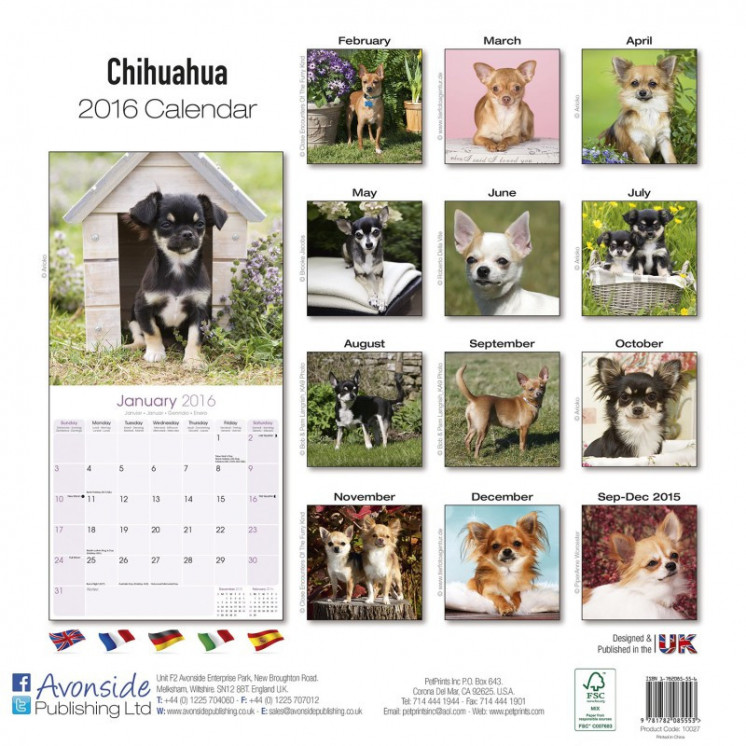 Calendrier Chihuahua 2016