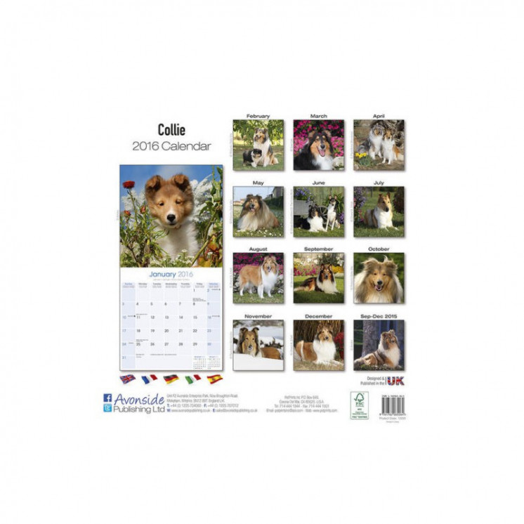 Calendrier Colley 2016