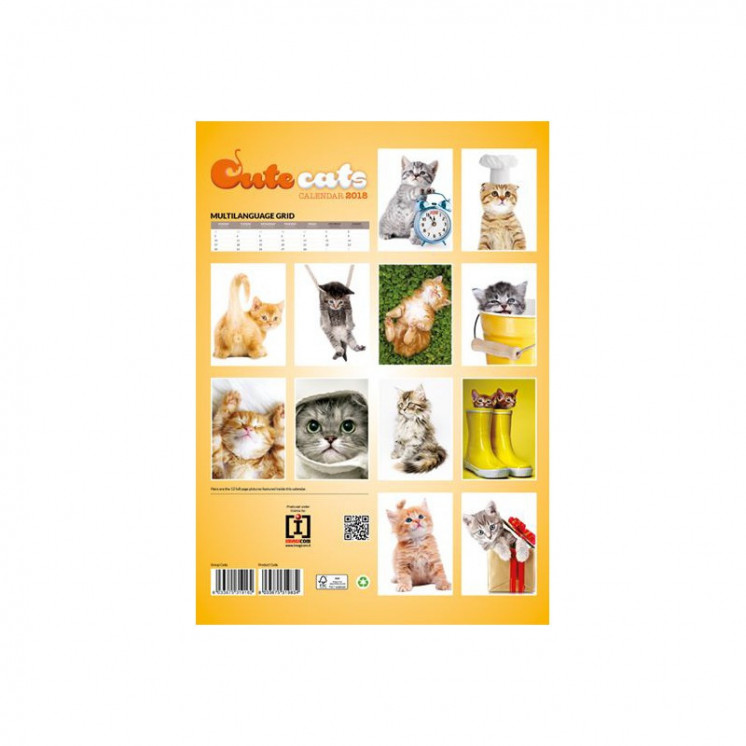 Calendrier Cute Cats 2018